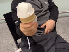 -麦当劳(北京大兴机场二层国内到达(安检外)店)