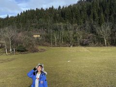 -武陵山森林公园
