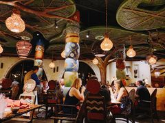 -奥兰多迪士尼动物王国乐园