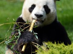 -天天初二·天津传统捞面·天津特色菜(凌奥总店)