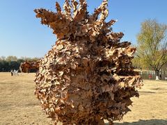 -浙江大学(紫金港校区)