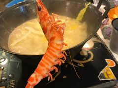 -鲜入围煮花胶鸡海鲜火锅