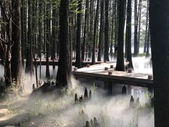 -东湖落雁景区