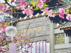 -宝墨园景区