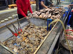 -半岛听涛蒸汽海鲜自助(K11店)
