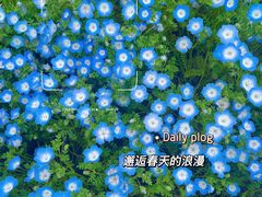 -上海辰山植物园