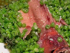 东星斑-许家菜(望江店)