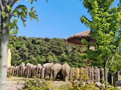 -沈阳森林动物园