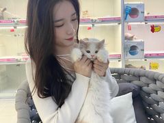 -lincat·猫舍(广州店)