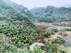 -宁波五龙潭景区