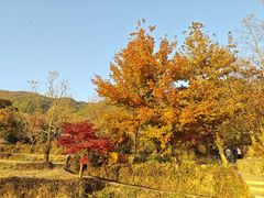 -塔川景区