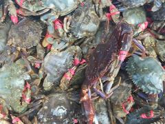 -宾朋海鲜特色美食餐厅·纯手工鲅鱼水饺(兴海路店)