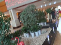 -张家港金凤凰度假村温泉