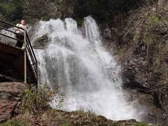 -东天目山风景区
