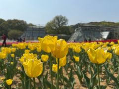 -无锡梅园公园