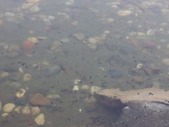 -保利石象湖景区