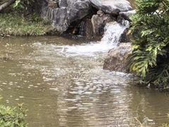 -东莞植物园