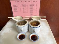 蝎子党参乌鸡汤-国英炖品店(甲子路店)