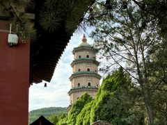 -晋祠公园