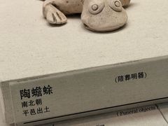 -临沂市博物馆