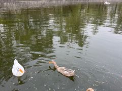-迎泽公园