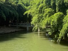 -桐乡植物园