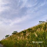 隐藏在佛山高明的尼斯湖 网红点