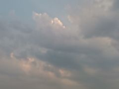 -素满香·素食自助餐(苏州·临顿路店)