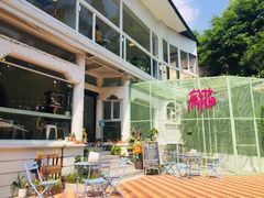 -有猫主题·治愈系猫咖(曾厝垵店)