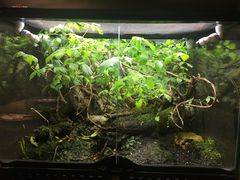 -隐食私房菜(渡口·光荣院南门·老街店)