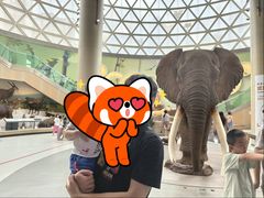 -陕西自然博物馆