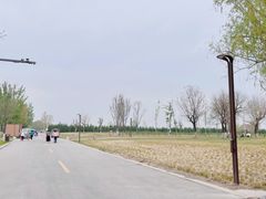 -汉长安城未央宫国家考古遗址公园