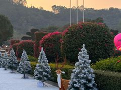 -东南花都花博园