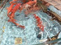-渔傅·霞浦滩涂海鲜(建平店)