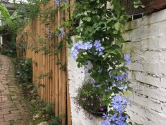 -白鹭湾湿地公园