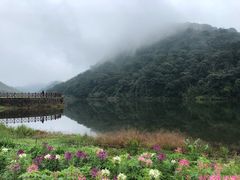 -广州市石门国家森林公园