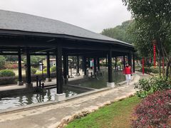 -三江森林温泉度假区