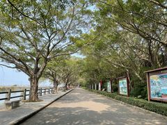 -大湾区中央湿地公园