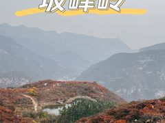 -周口店坡峰岭风景区