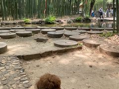 -竹泉村旅游度假区