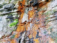 -鹿院坪生态旅游景区