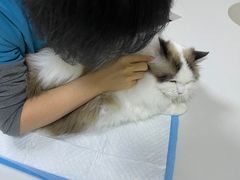 -美联众合动物医院·24h转诊中心