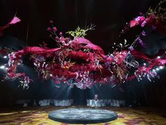 -怪咖·joker陈楠