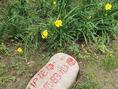 -黑龙江省森林植物园