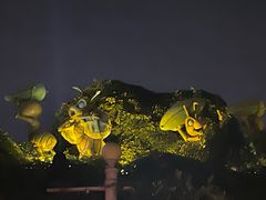-北京欢乐谷