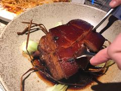 东坡草扎肉-桂满陇天书(南京德基旗舰店)