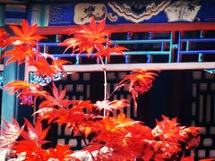 -北海公园