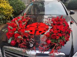 -蚂蚁婚车