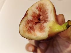 -花园菜市场