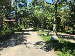 -广东花都香草世界旅游度假区